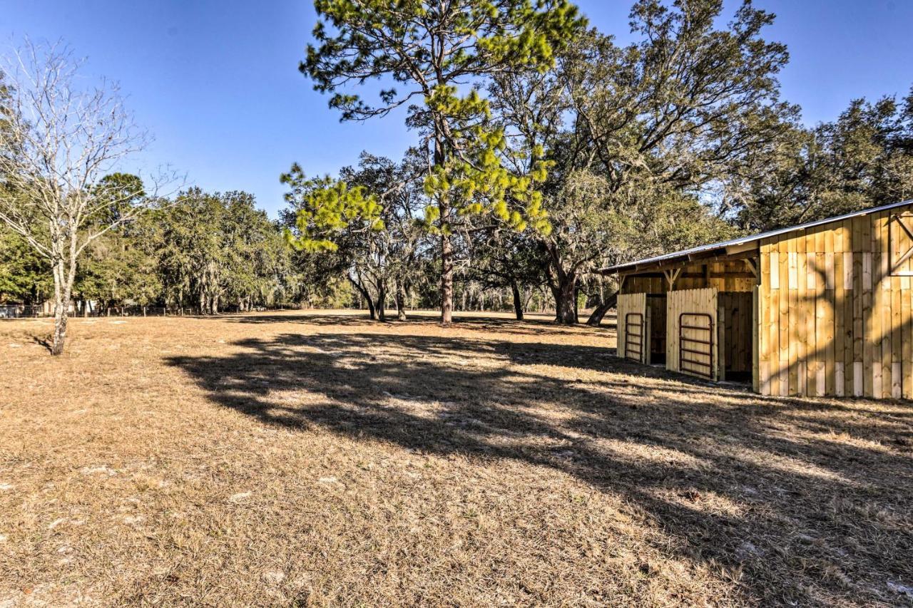 Equestrian Escape With Private Pasture! Ocala