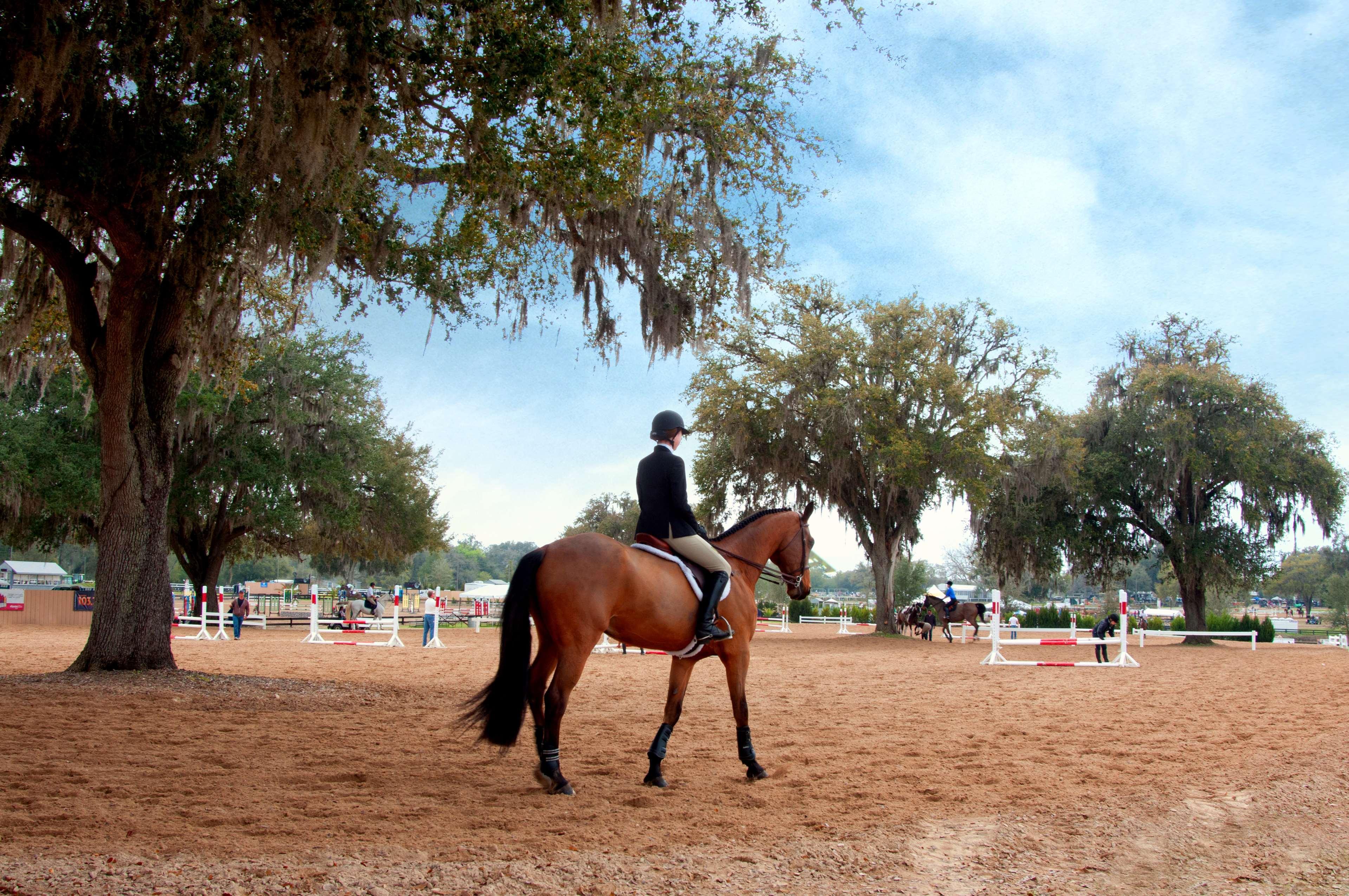 Western Park Centre Ocala