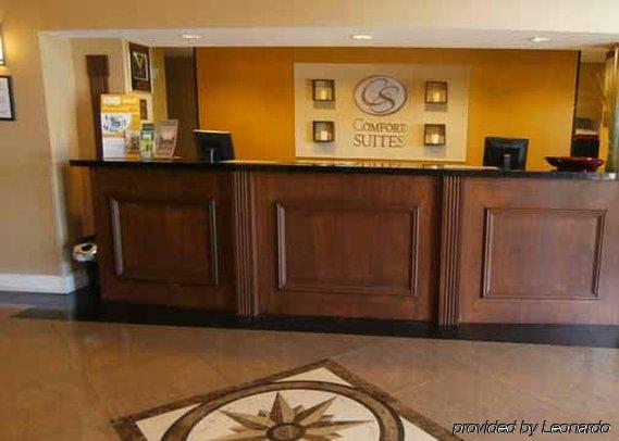 Comfort North 3*