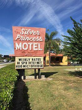 Silver Princess Ocala